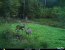 11 pt.JPG