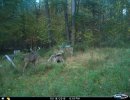 9 pt I missed.JPG