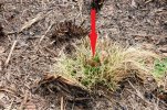 TuftsAfterBurn_Labelled_20210227_135818_crop_1000W.jpg