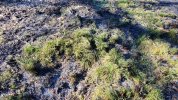 20210220_151632_HS.jpg 20210220_151632_HS.jpg