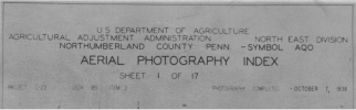 Picture1.png