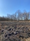 IMG_6665.jpg