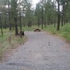 campsite6.jpg