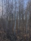 96AF25E9-0344-4725-AEBB-BB556BFC90A4.JPG