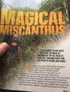 miscanthus.png miscanthus.png