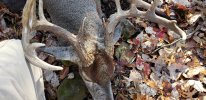 20201126_095430.jpg
