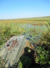 labor day 12 026 lake boat.JPG