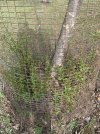 IMG_3101.JPG