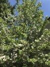5B862089-C611-4189-ADC0-27C74CCB851F.jpeg
