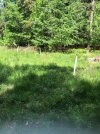 Camp Pre mowed.jpg