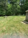 camp mowed.jpg