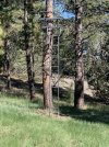 IMG_5761.jpeg