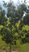20210609_172128.jpg 20210609_172128.jpg