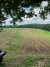 VIEW FROM THE BLIND 2.jpg