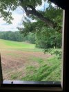 VIEW FROM THE BLIND.jpg