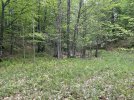 Cabin Site View.jpg Cabin Site View.jpg
