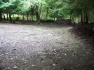 101_8604.JPG