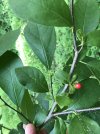 IMG_0397.jpg