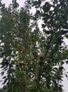 20210806_160828.jpg