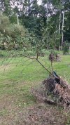 2021 08-23 chestnut flood damaged.jpg