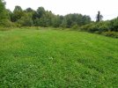 Upper plot, clover.JPG