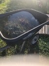 wheelbarrow.jpg