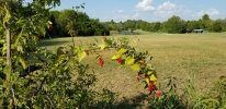 20170924_164520.jpg