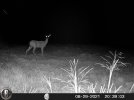 HUNT0222.JPG
