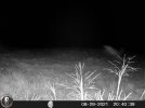 HUNT0223.JPG