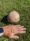 PXL_20210906_201648510.jpg