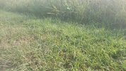 20210903_094656.jpg