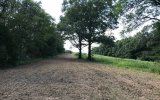 Front Field - Seeding 2.jpg