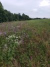 20210904_174138.jpg 20210904_174138.jpg