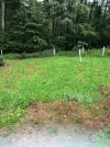 food plot.jpg