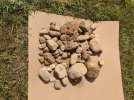 PXL_20210910_172501640.jpg PXL_20210910_172501640.jpg