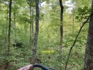 IMG_5863.JPG