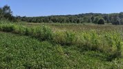PXL_20210926_193726424.jpg