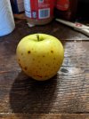 PXL_20211008_162018230.jpg