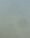 3D7CF981-01DE-4935-A5EF-E3781ED1E95F.jpeg