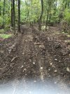 Tim's food plot.jpg