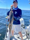 Tagged Cobia.jpg