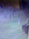 IMG_0303.jpeg