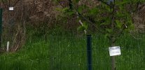 lables on tree cages..JPG