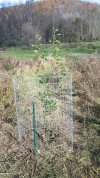 2021 11-05 planting day 02.jpg
