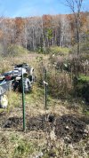 2021 November planting SnowSweet.jpg