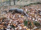 IMG_20211113_084708822.jpg