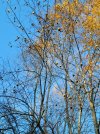 20211107_084619.jpg