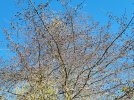 20211106_111551.jpg
