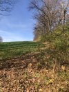 IMG_5370[1].JPG