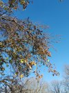 20211126_153149.jpg